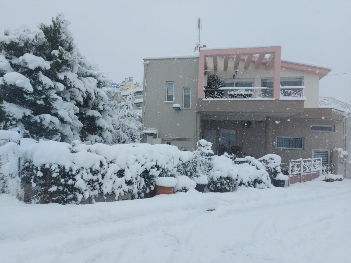 Violet Studio Με Πισίνα Volos Exterior photo